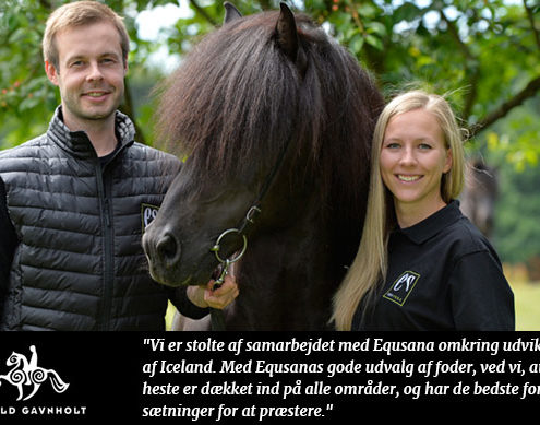 Ambassadoerer_16_12_Gavnholt_1